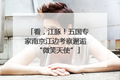 看，江豚！五国专家南京江边考察邂逅“微笑天使”