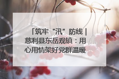 筑牢“汛”防线｜慈利县东岳观镇：用心用情架好党群温暖悠长的“连心桥”