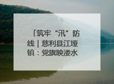 筑牢“汛”防线｜慈利县江垭镇：党旗映溇水 清淤见担当