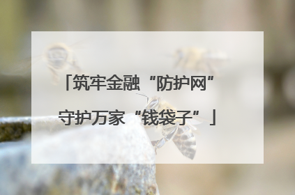 筑牢金融“防护网” 守护万家“钱袋子”