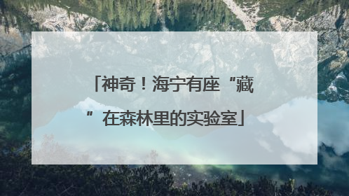 神奇!海宁有座“藏”在森林里的实验室