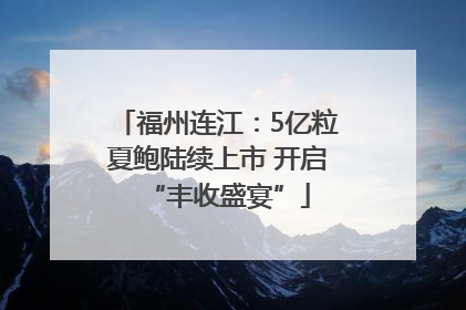 福州连江：5亿粒夏鲍陆续上市 开启“丰收盛宴”