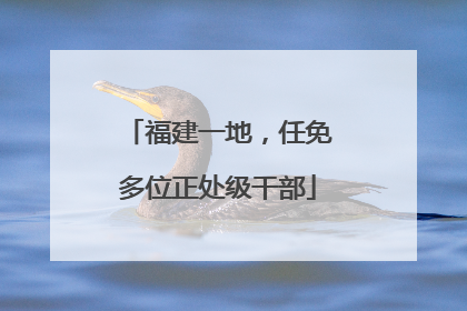 福建一地，任免多位正处级干部
