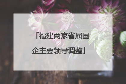 福建两家省属国企主要领导调整