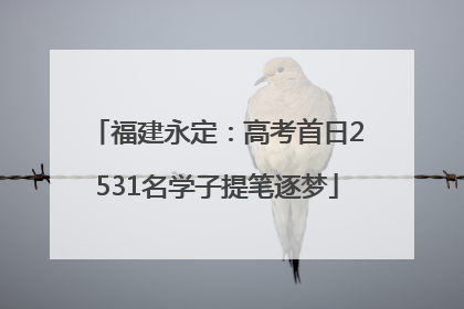 福建永定：高考首日2531名学子提笔逐梦