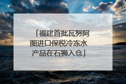 福建首批瓦努阿图进口保税冷冻水产品在石狮入仓