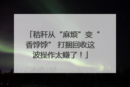 秸秆从“麻烦”变“香饽饽” 打捆回收这波操作太赚了！