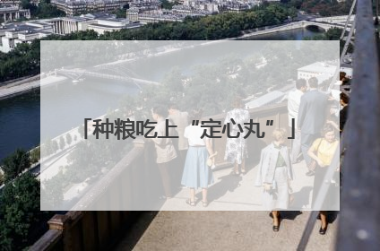 种粮吃上“定心丸”