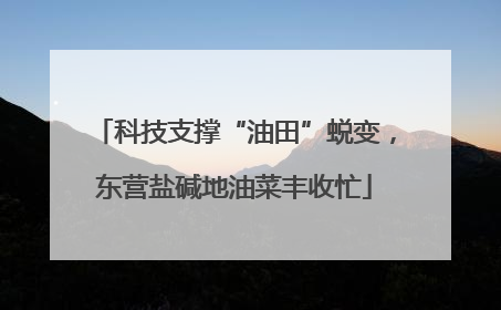 科技支撑“油田”蜕变，东营盐碱地油菜丰收忙