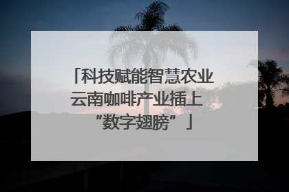 科技赋能智慧农业 云南咖啡产业插上“数字翅膀”