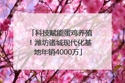 科技赋能蛋鸡养殖！潍坊诸城现代化基地年销4000万