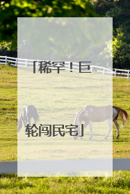稀罕！巨轮闯民宅