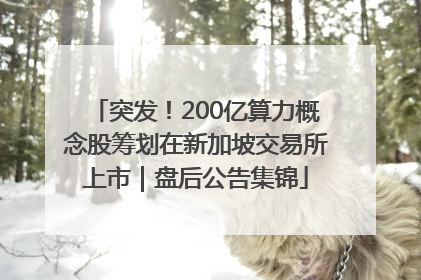 突发！200亿算力概念股筹划在新加坡交易所上市｜盘后公告集锦