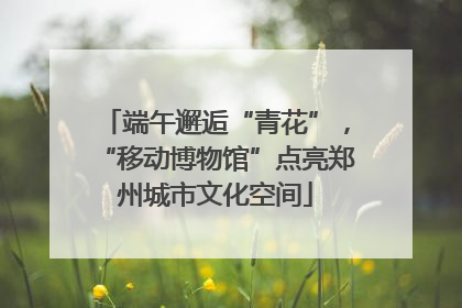 端午邂逅“青花”，“移动博物馆”点亮郑州城市文化空间