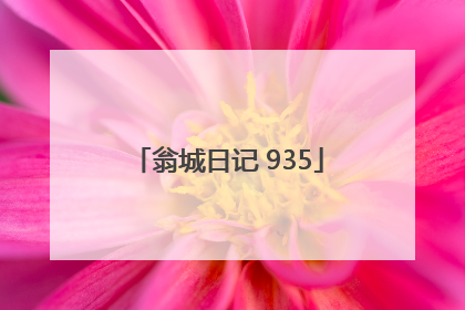 翁城日记 935