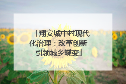 翔安城中村现代化治理：改革创新引领城乡蝶变