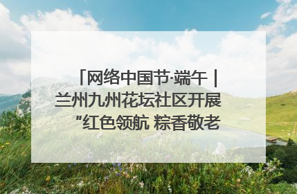 网络中国节·端午｜兰州九州花坛社区开展“红色领航 粽香敬老”端午主题活动