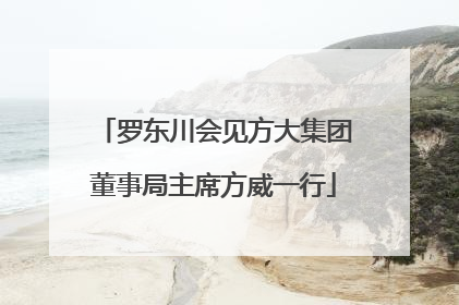 罗东川会见方大集团董事局主席方威一行