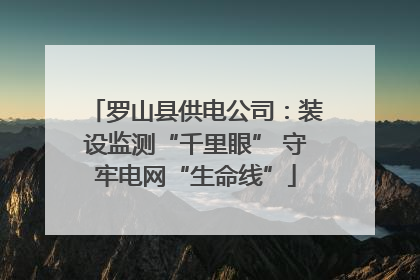 罗山县供电公司：装设监测“千里眼” 守牢电网“生命线”