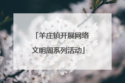 羊庄镇开展网络文明周系列活动