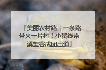 美丽农村路｜一条路带火一片村！小贺线带溪望谷成团出道