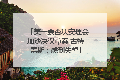 美一票否决安理会加沙决议草案 古特雷斯：感到失望