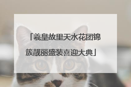 羲皇故里天水花团锦簇靓丽盛装喜迎大典