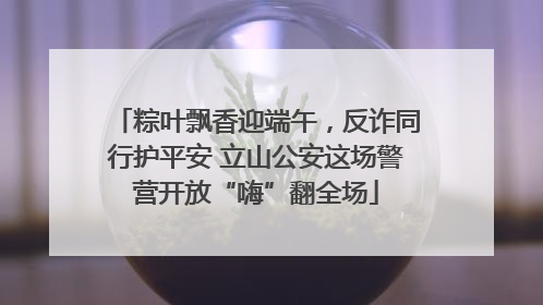 粽叶飘香迎端午，反诈同行护平安 立山公安这场警营开放“嗨”翻全场