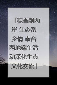 粽香飘两岸 生态系乡情 奉台两地端午活动深化生态文化交流