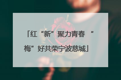 红“新”聚力青春 “梅”好共荣宁波慈城