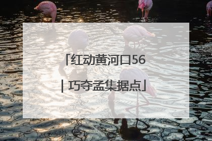 红动黄河口56｜巧夺孟集据点