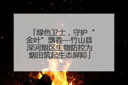 绿色卫士，守护“金叶”飘香—竹山县深河烟区生物防控为烟田筑起生态屏障