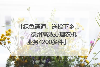 绿色通道、送检下乡…………德州高效办理农机业务4200多件