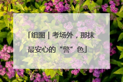 组图｜考场外，那抹最安心的“警”色