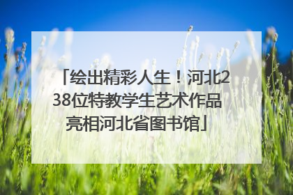 绘出精彩人生！河北238位特教学生艺术作品亮相河北省图书馆
