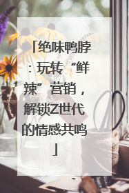 绝味鸭脖：玩转“鲜辣”营销，解锁Z世代的情感共鸣