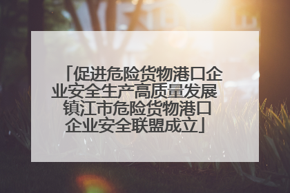 促进危险货物港口企业安全生产高质量发展 镇江市危险货物港口企业安全联盟成立
