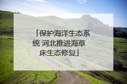 保护海洋生态系统 河北推进海草床生态修复