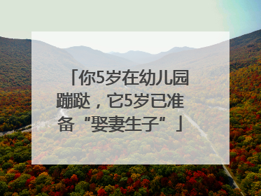 你5岁在幼儿园蹦跶，它5岁已准备“娶妻生子”