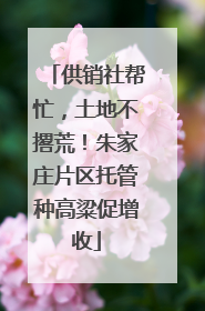 供销社帮忙，土地不撂荒！朱家庄片区托管种高粱促增收