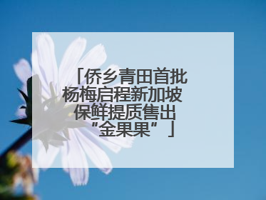 侨乡青田首批杨梅启程新加坡 保鲜提质售出“金果果”
