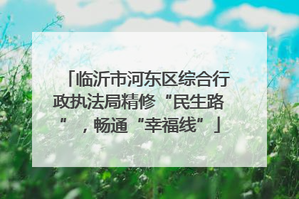 临沂市河东区综合行政执法局精修“民生路”，畅通“幸福线”