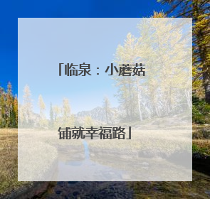 临泉：小蘑菇铺就幸福路