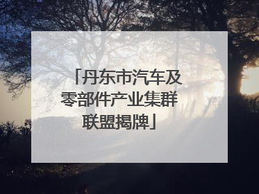 丹东市汽车及零部件产业集群联盟揭牌