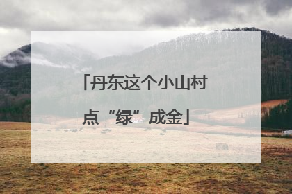 丹东这个小山村点“绿”成金