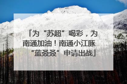 为“苏超”喝彩，为南通加油！南通小江豚“蓝叒叒”申请出战