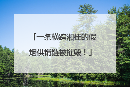 一条横跨湘桂的假烟供销链被摧毁！