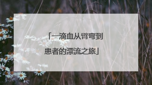 一滴血从臂弯到患者的漂流之旅