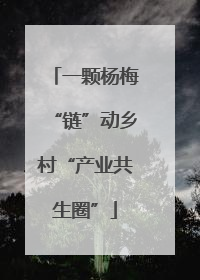 一颗杨梅“链”动乡村“产业共生圈”