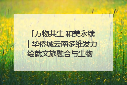 万物共生 和美永续｜华侨城云南多维发力 绘就文旅融合与生物多样性保护新图景